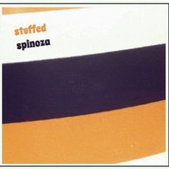 Stuffed Spinoza