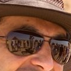 Amr Shahin 2