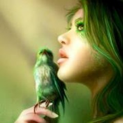 Nanci Happy Aviaries