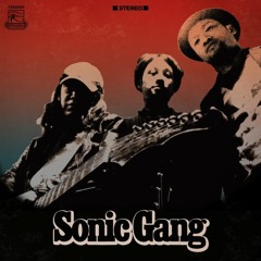 sonic gang