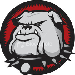 TheBulldog