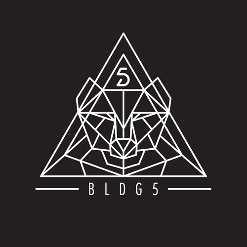 BLDG5 Records’s avatar