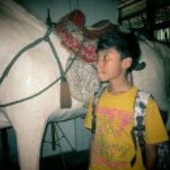 Muhammad Ashiddiqhie