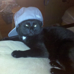 bobby hustle