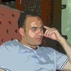 الشيخ الليثي الانعام