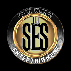 DJ SES 2013 DANCEHALL MIX
