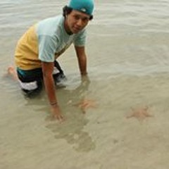 Fernando Javier Castillo