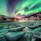 Arctics