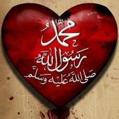 Amr Sayed Fahmy