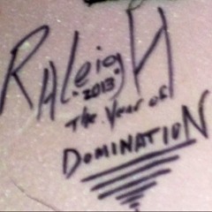 The Raleigh Experience