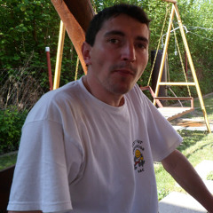 Zoltán Gergely 1