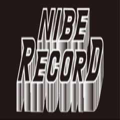NIBE RECORD