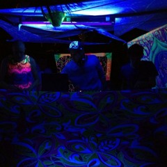 PsyProg Promo Mix 2013