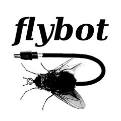 Flybot