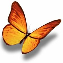 Clocks- Coldplay Tribute