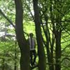 Rasmus Møhring Madsen