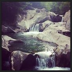 Krista Harness Gardner