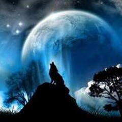 Patrick van der Meulen