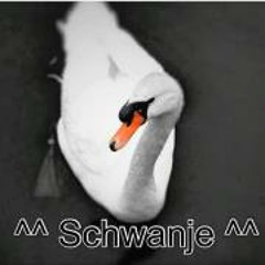 Swantje Allendorf