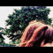 Aura Breeze