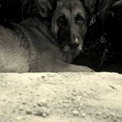 Nazareth Alejos Hernández