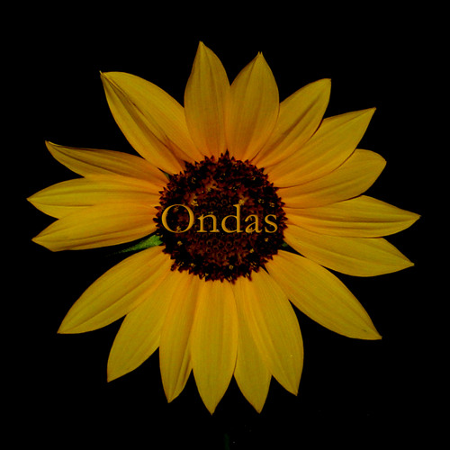 Ondas’s avatar