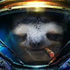 Patrick__Ryan__Sloth