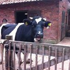 Nadine Der Kleine Teufel