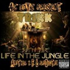 Trikk Accrue Records