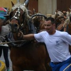 Alban Ricard