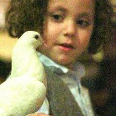 melodic lounge🍹deep house  🌊 afro & chill🌴