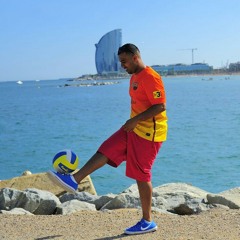 paviniesta