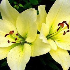 april andressa bejec 1