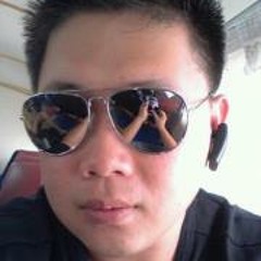 Andi Aik Koon Swiftlet