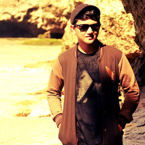 Aditya Satya N artist photo