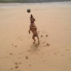 New British Jazz & Funk