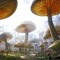 wonderland 3