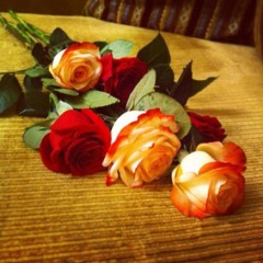 abeeralwed