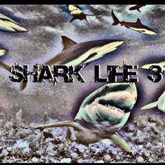 Sharklife3 #7
