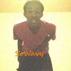 sowavy_nardo