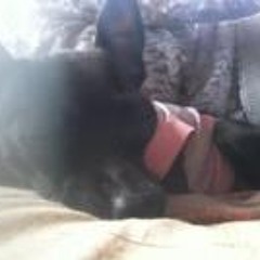 Susana Castro Guarin