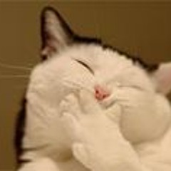 Naufal Aminur Rahman