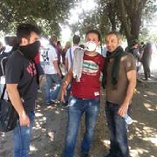 Nereye uçar Turnalar