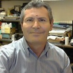 Jose Luis Mang Huichi