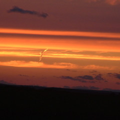 Psychotrophic interlude