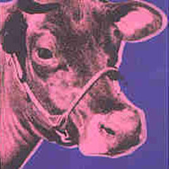 MoooRooo