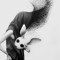 Motion Bunny