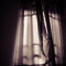 Dark Promises