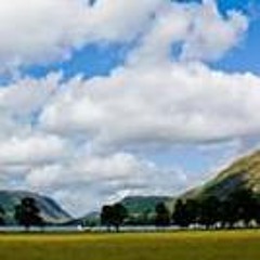 Oh Liver Productions