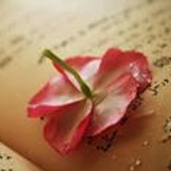 أسرع_قراءة_للقرآن_كاملا_مصحف_حدر.mp3